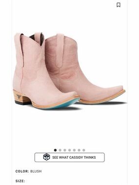 LANE Emma Jane Blush Western Booties - sold out